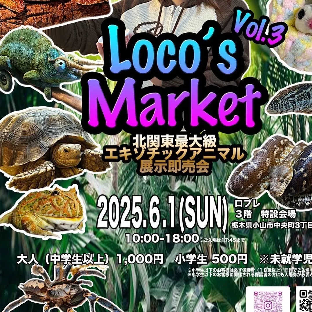 すみません、予定が抜けていたため少し修正いたしました🙇