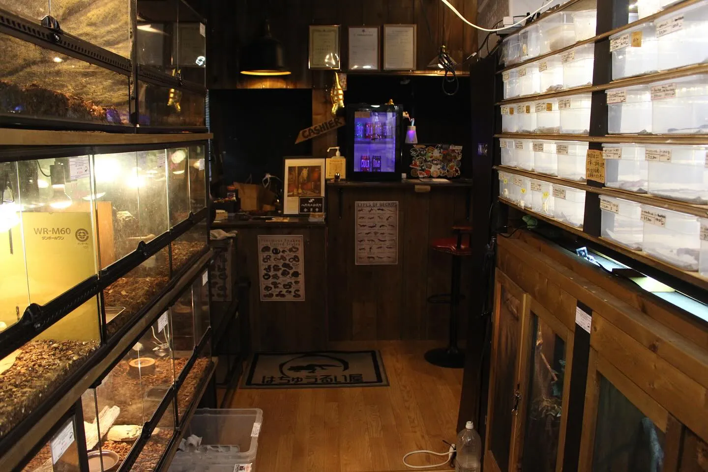 店内の写真撮ってみました📸