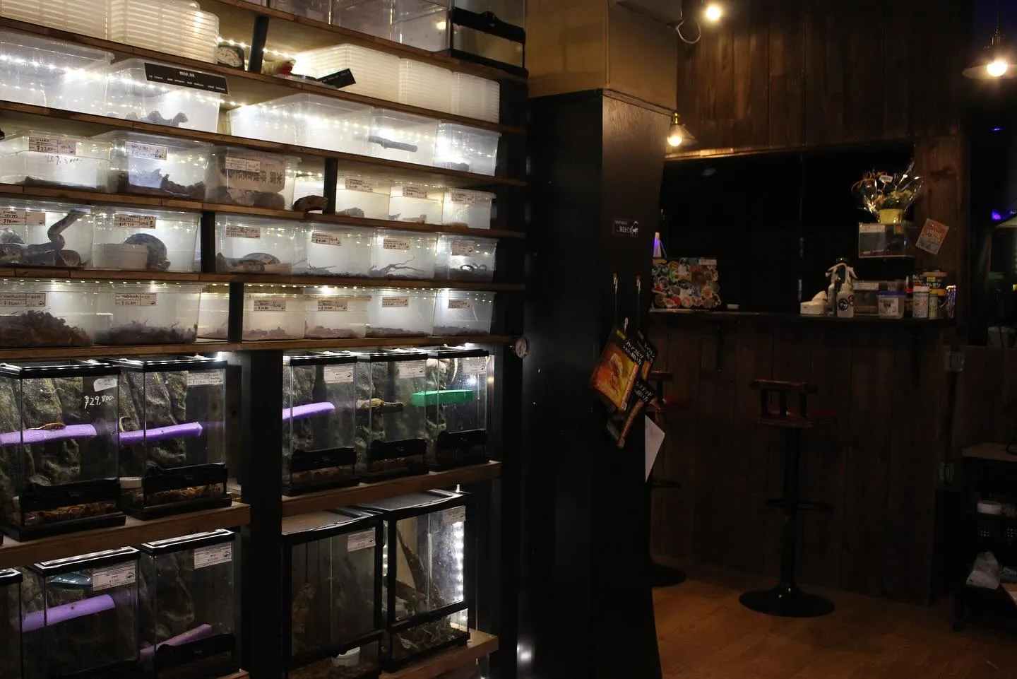 店内の写真撮ってみました📸