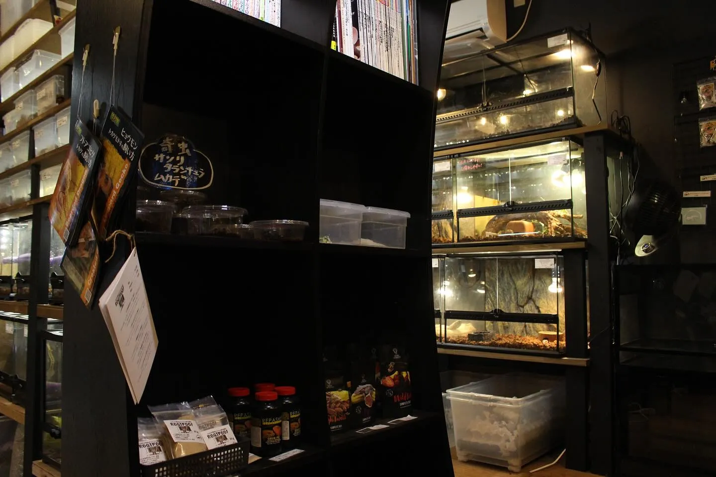 店内の写真撮ってみました📸