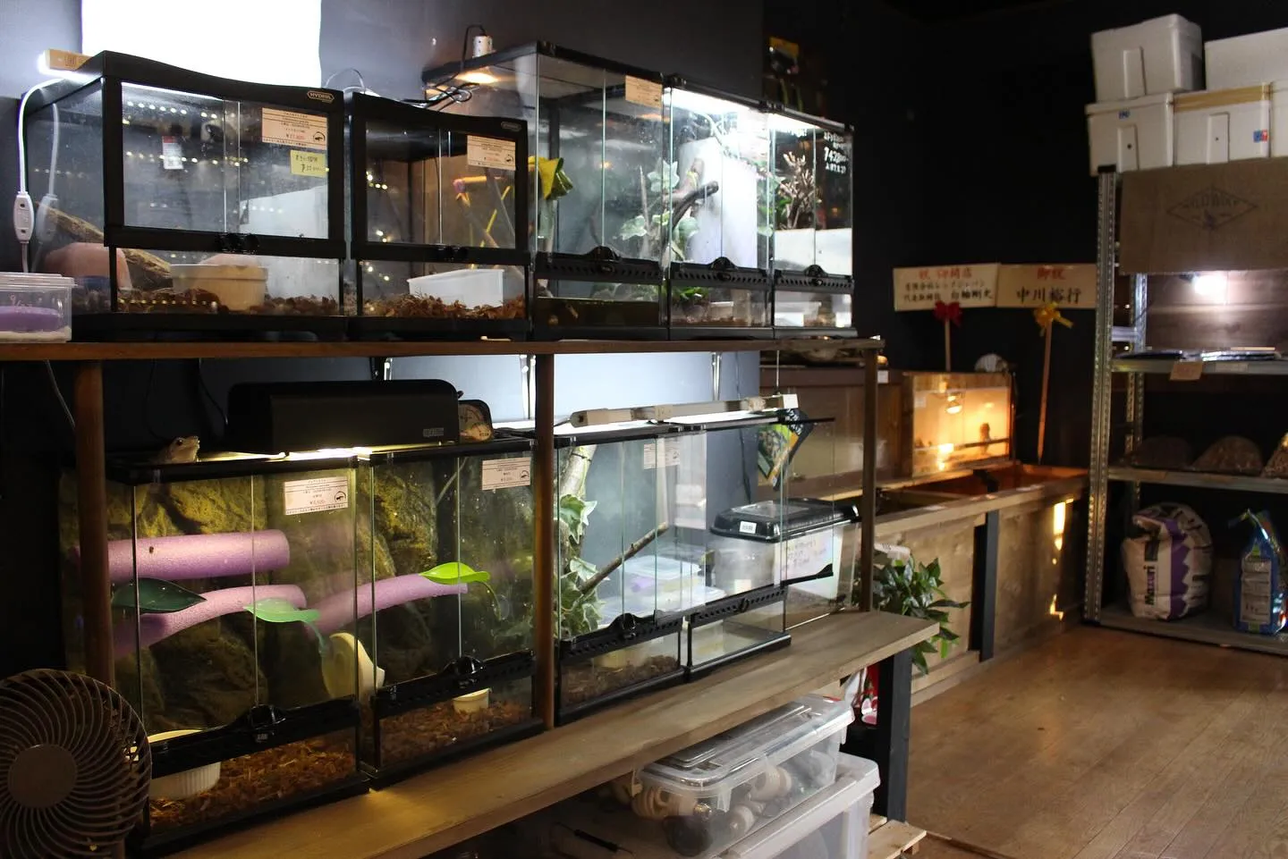 店内の写真撮ってみました📸