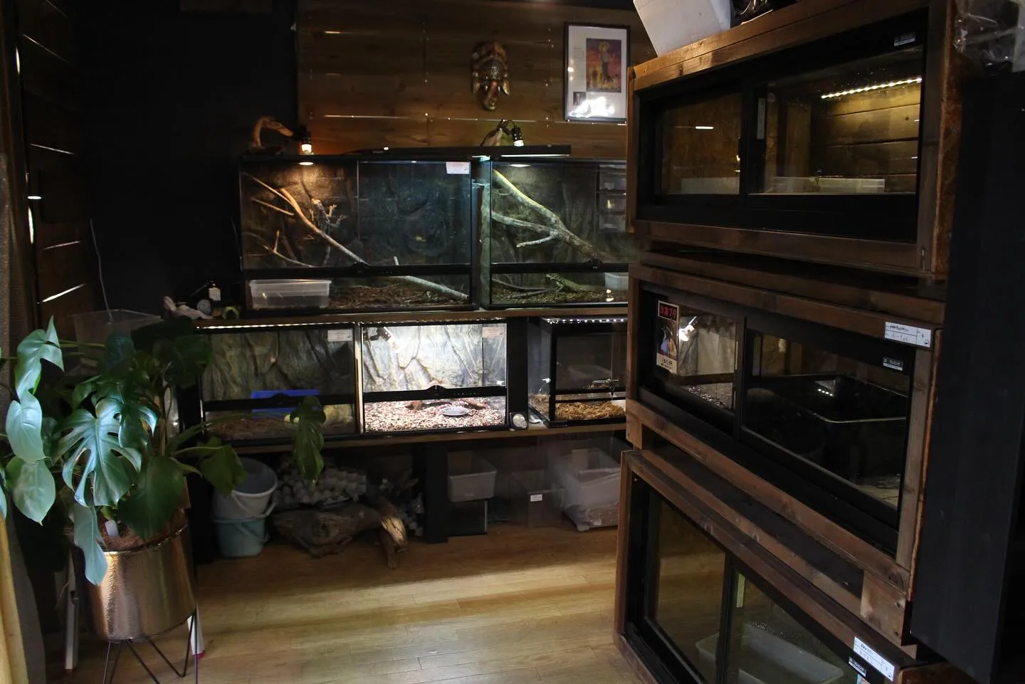 店内の写真撮ってみました📸