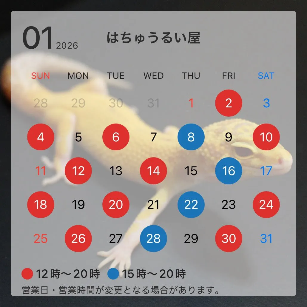 お待たせしました！🙏