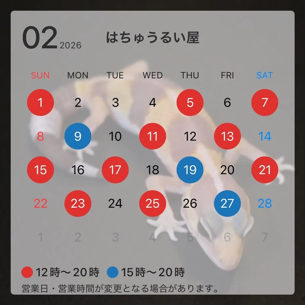 2月の営業予定表です！