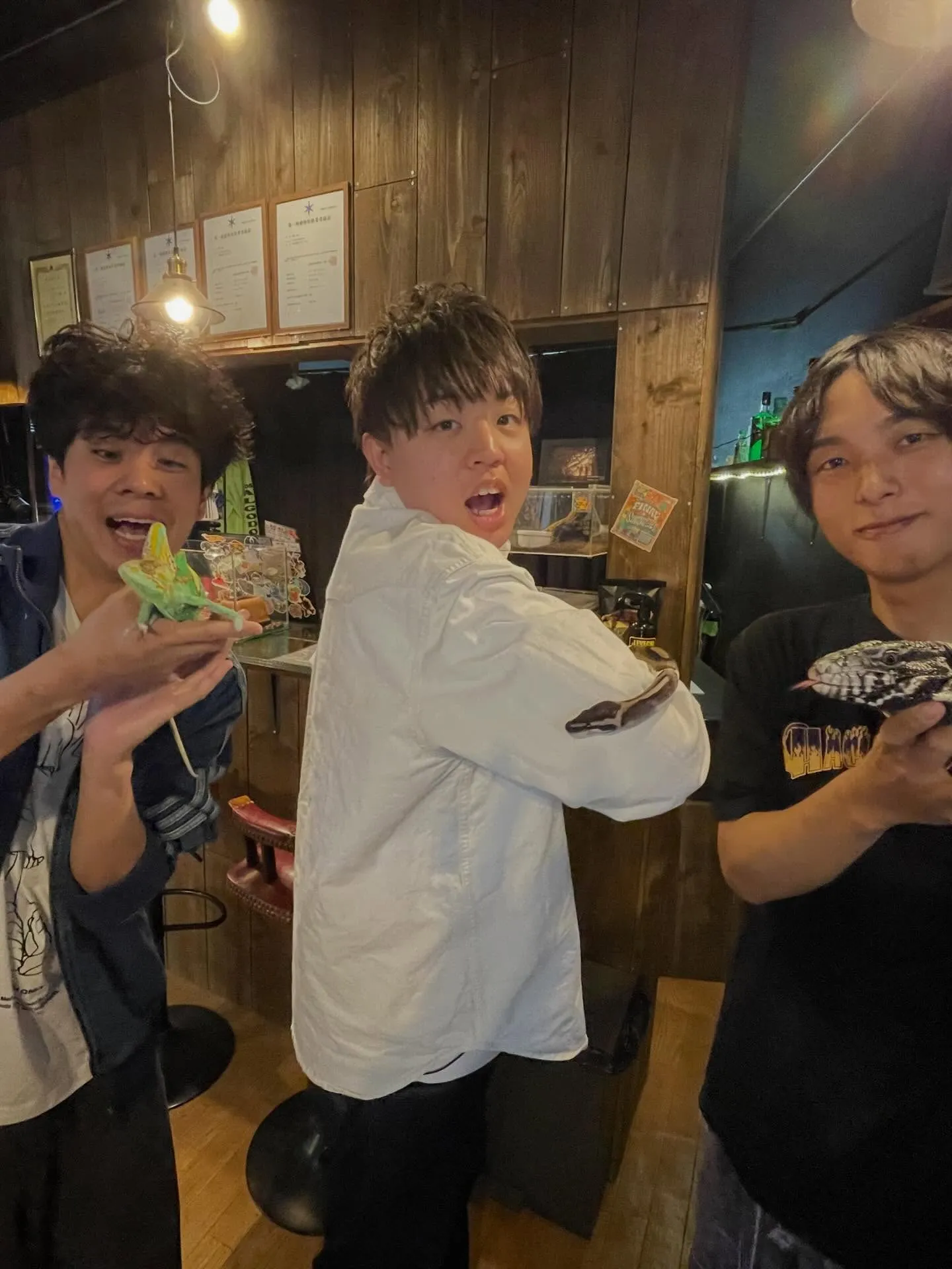 【地上波デビュー】