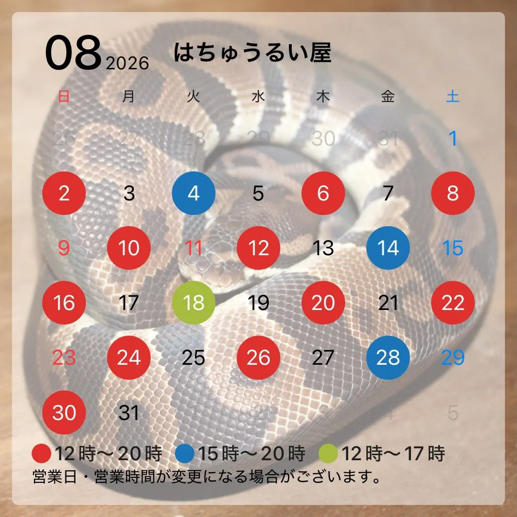 8月の営業日カレンダーです！