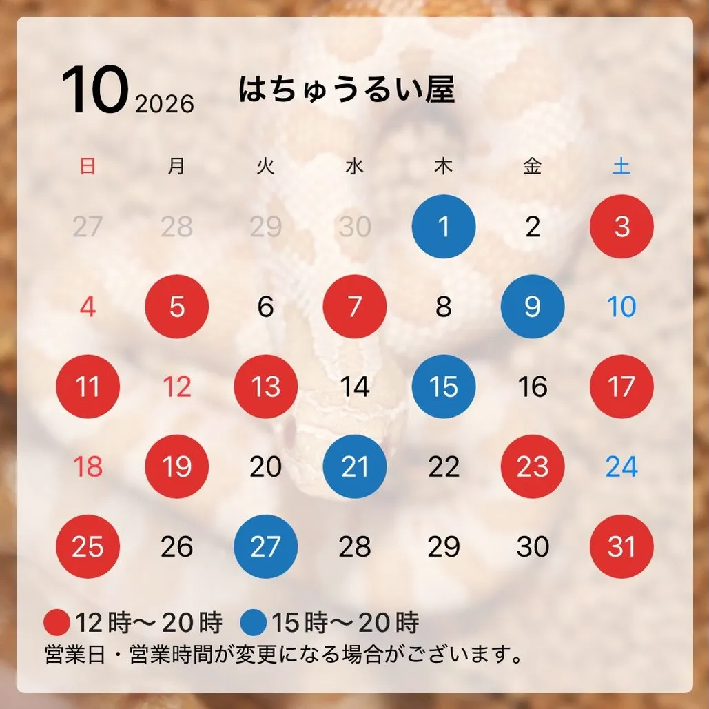 大変大変お待たせいたしました💦