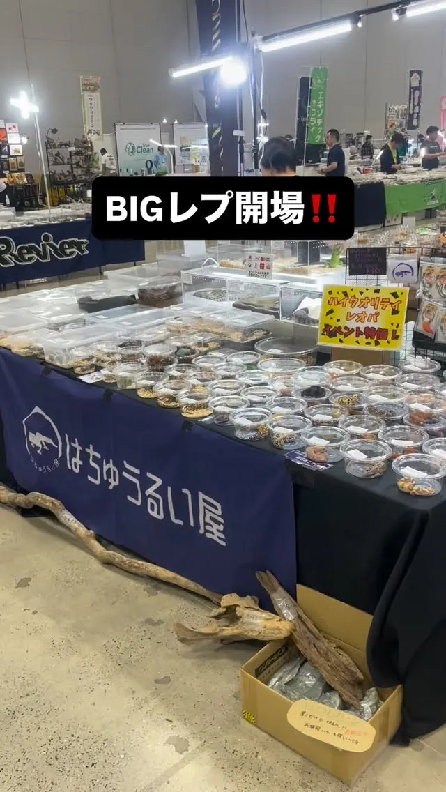 BIGレプよろしくお願いします✨️