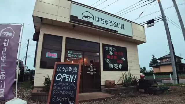 はちゅうるい屋のNEW PV(HomePage Size V...